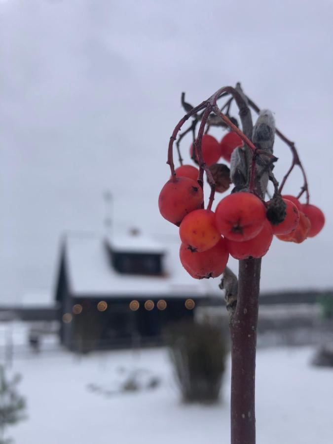 Vanaga Namins Sigulda Exteriör bild